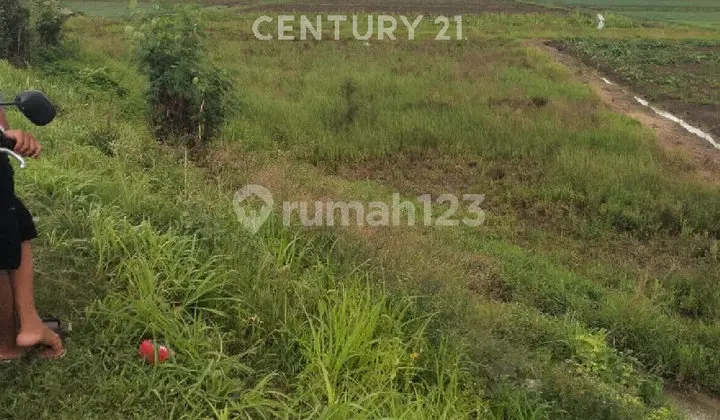 Tanah Luas dan Strategis Cocok untuk Industri