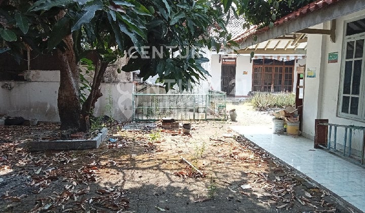 Rumah dengan 7 Kamar Tidur dan Halaman Luas di Kota Tegal