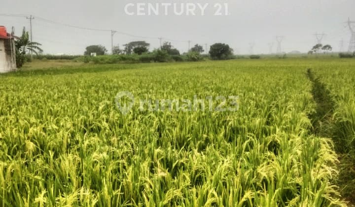 Tanah Luas Letak Strategis Cocok untuk Gudang