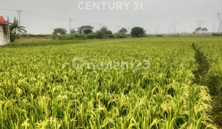 Tanah Luas Letak Strategis Cocok untuk Gudang