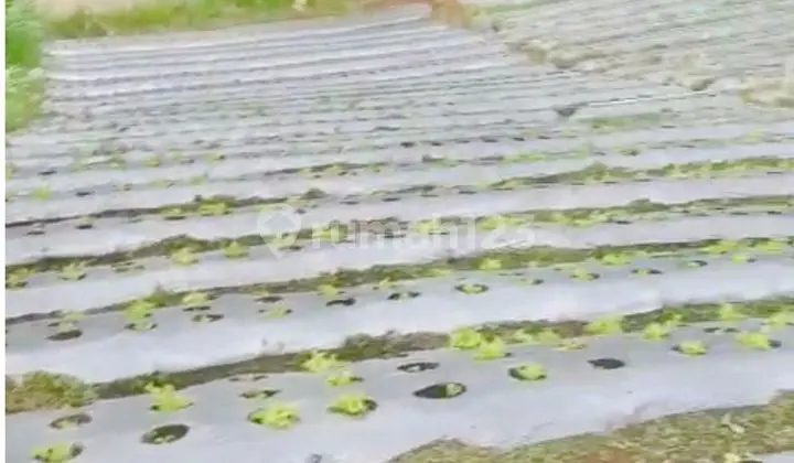 Land Lembang Near Dusun Bambu