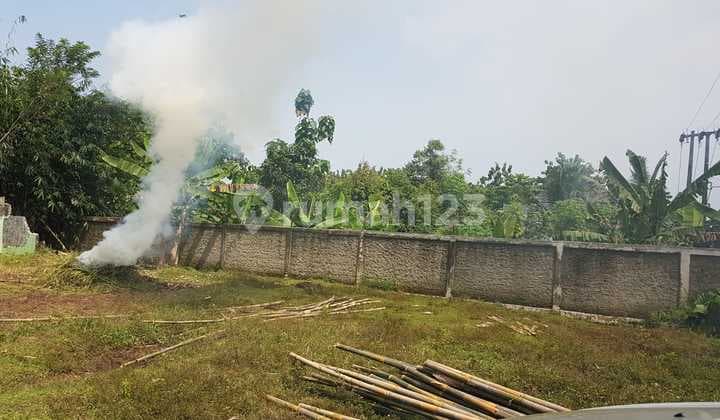 Dijual Kav Komersial 2jtan Di Jalan Ciseeng Cibitung Muara Bogor