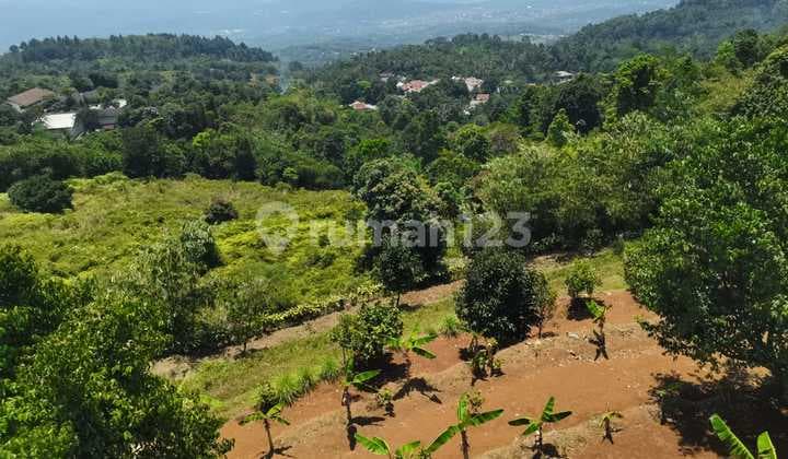 DIJUAL TANAH UNTUK KEBON di BOGOR JAWA BARAT