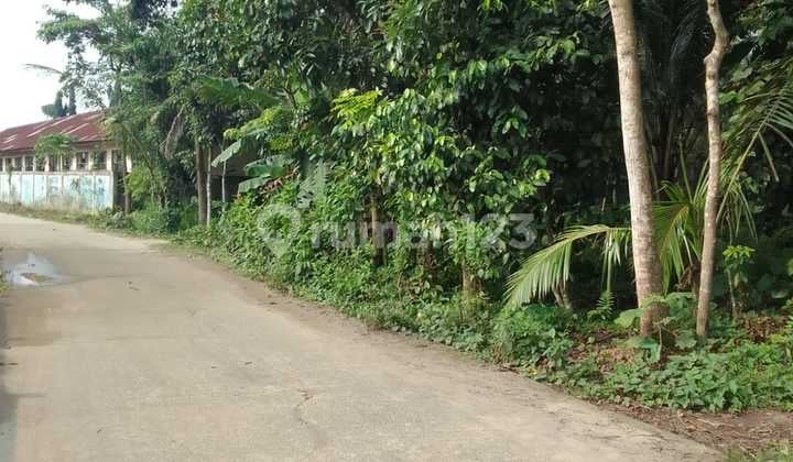 DIJUAL TANAH DI SERANG BANTEN Lokasi Pamarayan, Serang, Banten