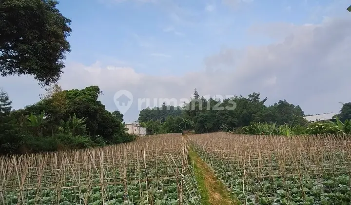 Dijual Tanah, SHM, Gratis Villa,Di Cimahi