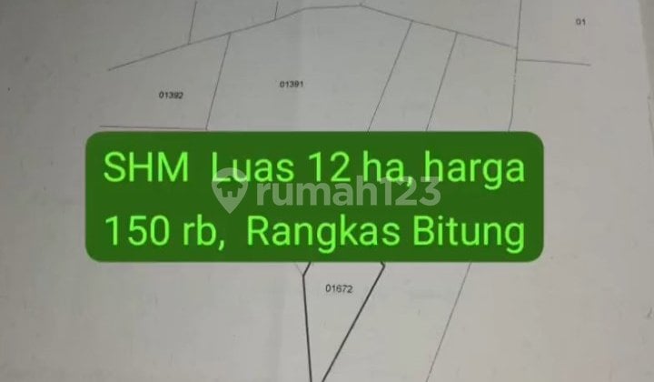 Tanah Rangkas Bitung, Tangerang, Banten 12Ha Tanah Rangkas Bitung, Tangerang, Banten 12Ha
