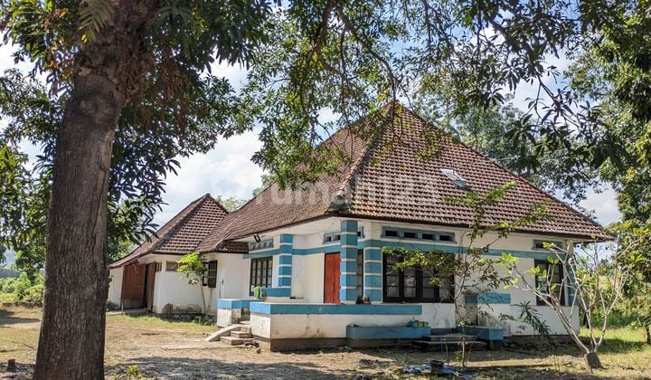 Disewakan Rumah di Bima