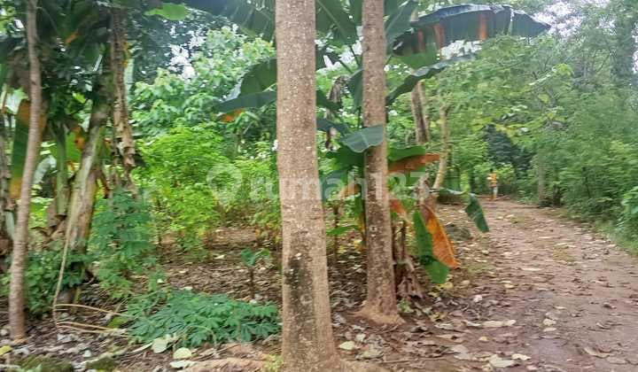 Dijual Tanah di Kupang