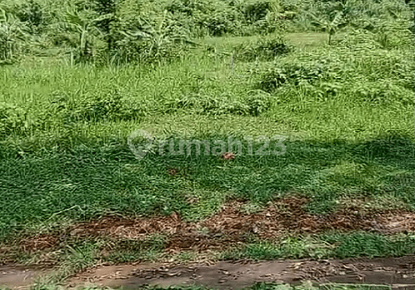 Dijual Cepat Tanah di Halimun Fajar Taman Dayu Pandaan
