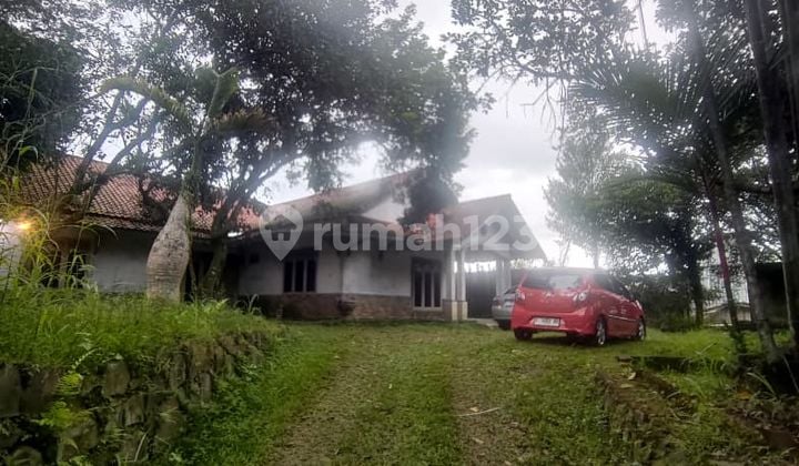 Rumah Luas Pinggir Jalan Raya