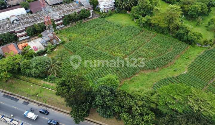 Investor Tanah di Pusat Kota