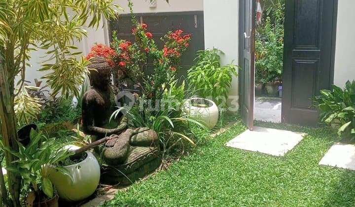 Sewa Rumah Villa Canggu