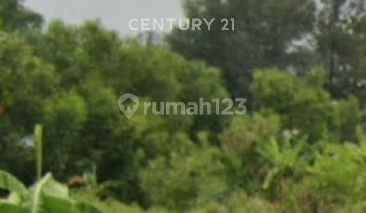 Tanah Luas, Murah, dan Strategis di Tegal