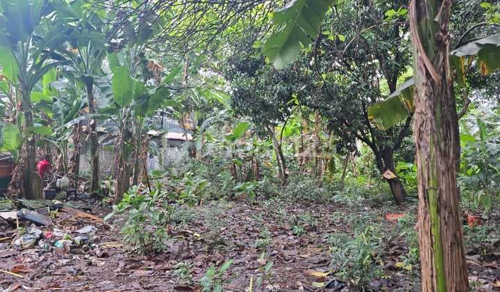 For Sale Tanah Luas 1784 Meter bisa Bangun Gedung atau Kantor atau Klinik atau Ruang Usaha atau Cafe atau Perkantoran Lokasi Area Komersial Bangka Kemang Jakarta Selatan.