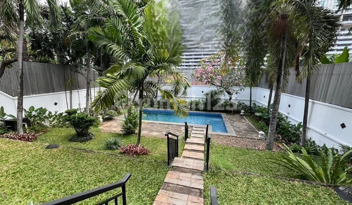 For Rent Luxurious House in Kemang Strategic Location Kemang Area South Jakarta