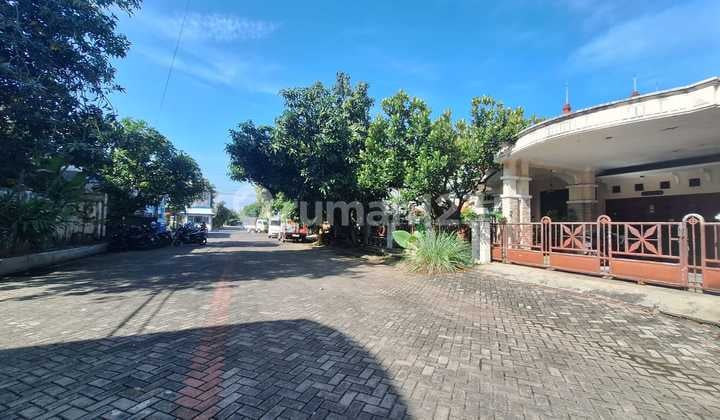Dijual Rumah Asri Plus Rumah Panggung di Pusat Kota Sidoarjo