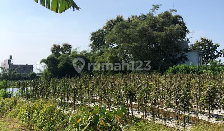 Malang Land for Sale, 5 Minutes from Muhammadiyah University of Malang, Suitable for Building a Boarding House, Split Certificate Available