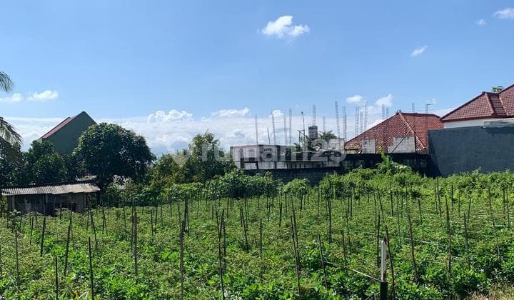 Tanah Idaman di Kota Malang Cocok Rumah, Kos, atau Usaha