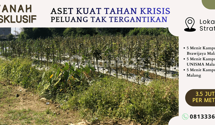 6-Meter Paved Road, Land for Sale, 5 Minutes from Muhammadiyah University Malang, Ideal for Building a Boarding House