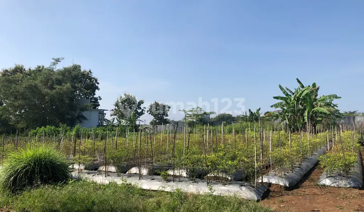 Car Access near Simpangan 5 Mall, Dinoyo Selling Land Plots Suitable for Building Boarding Houses