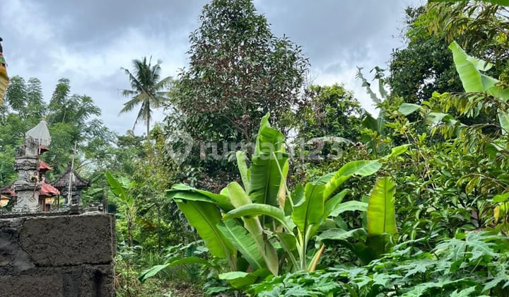 Dijual Murah Tanah di Singaraja Buleleng Bali