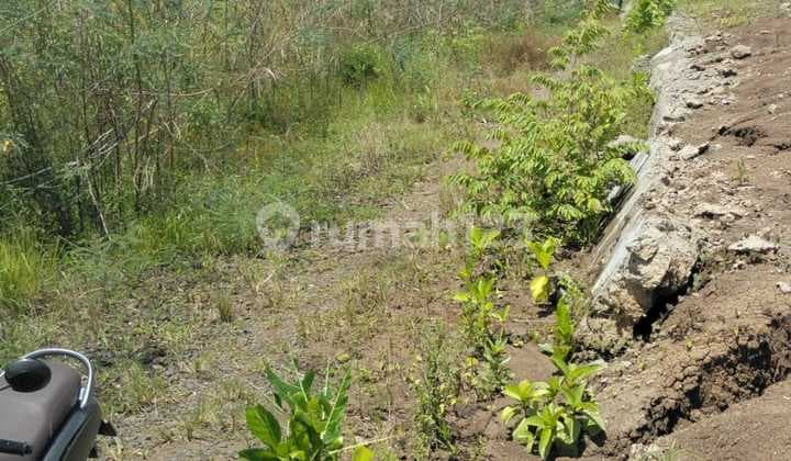 Di Sewakan Tanah Murah ✅**Lokasi Tumbak Bayuh**Luas Tanah 950 M2*- SHM