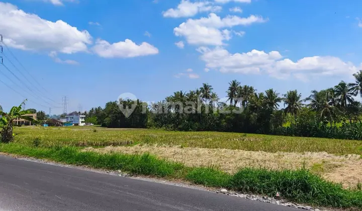 Dijual Tanah Buc- Area Kaba-Kaba