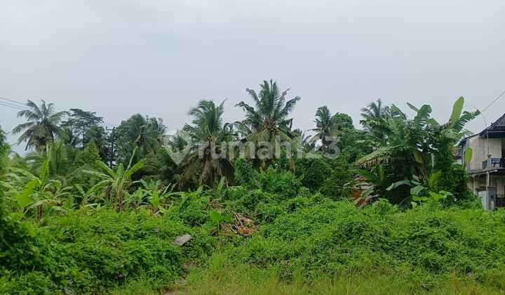 Land For Lease - In Center Ubud River Side