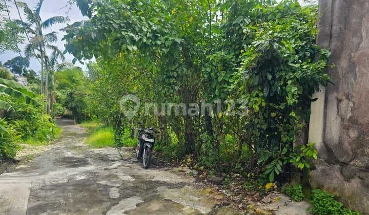 ✅ Dijual Tanah View Sungai Lokasi Umalas Kerobokan ✅*