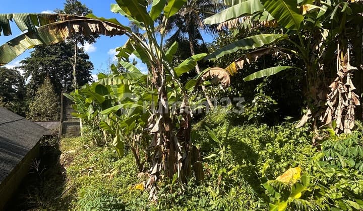 ✅ For Sale Strategic Commercial Land by Main Road Tabanan