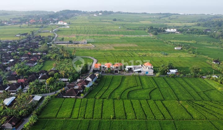 ✅ di Jual Tanah Pinggir Jln Utama Kelating