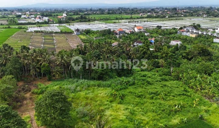 Dijual Tanah Los Sungai, View Sawah di Area Tanah Lot Tabanan