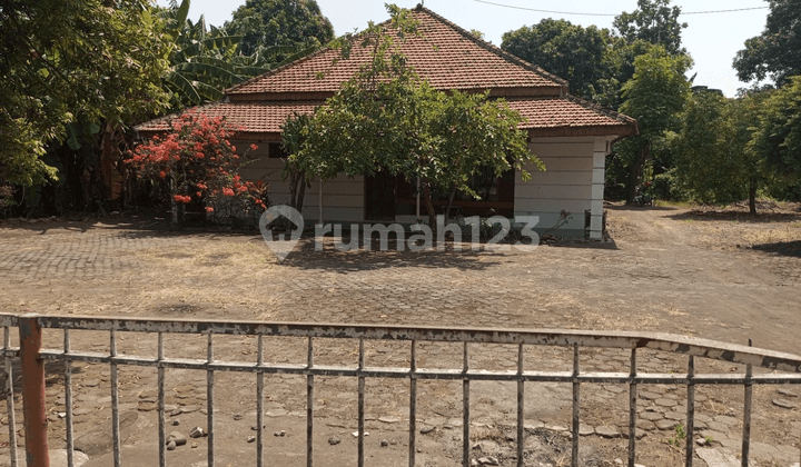 Rumah Tanah Pinggir Jalan Utama Kraksaan Nego Sampai Deal Probolinggo