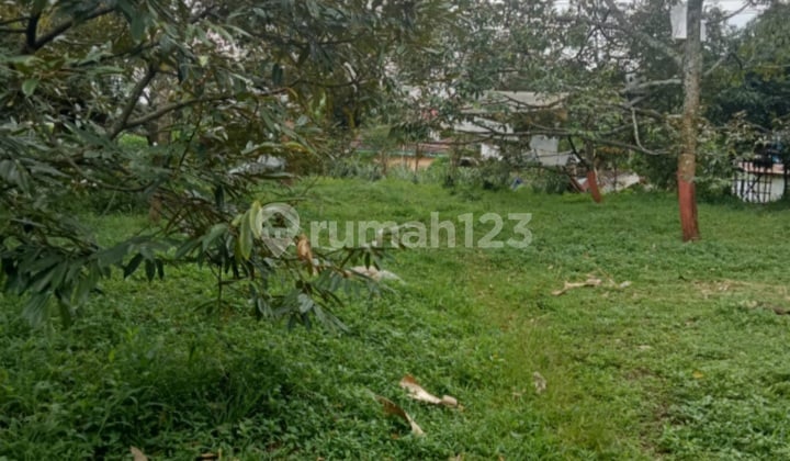 Dijual Tanah di Sukorejo