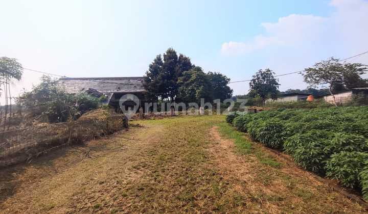 Dijual Cepat Tanah Murah di Parung Bogor