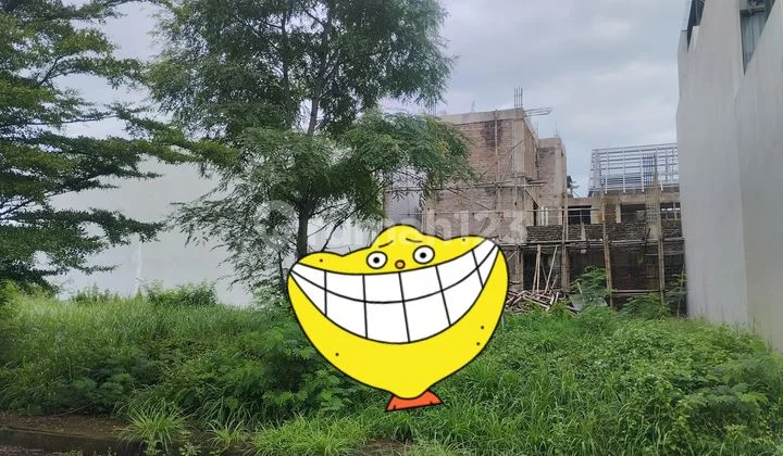 Land in the Best Residential Neighborhood Land in the Best Residential Neighborhood