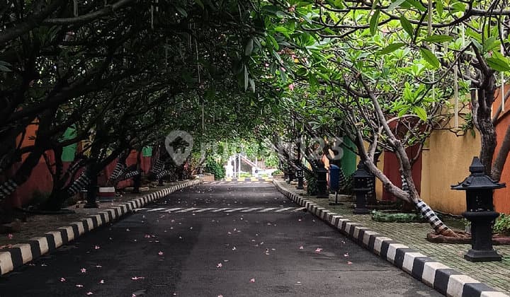 Strategic Hotel Near Ancol and Mangga Dua.