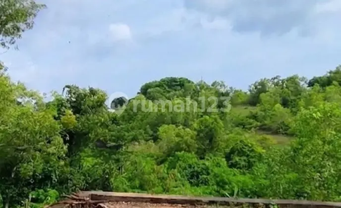 Cheap Land SHM Jalan Goa Sakeneng Kutuh Ungasan South Kuta