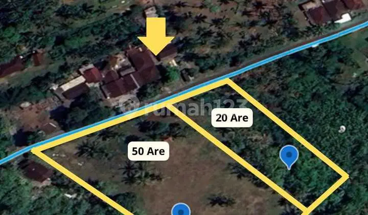 Land Development Location Jembrana Melaya Direction Gilimanuk