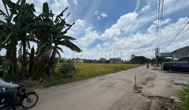Land and Rice Field for Sale by the Roadside in Sidosari Village, Natar
