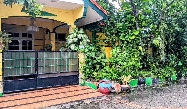 House for Sale Wiguna Timur 2 Floors LT 150 LB 300 2 Billion Spacious Building Near Merr Campus UPN - Ron.a534