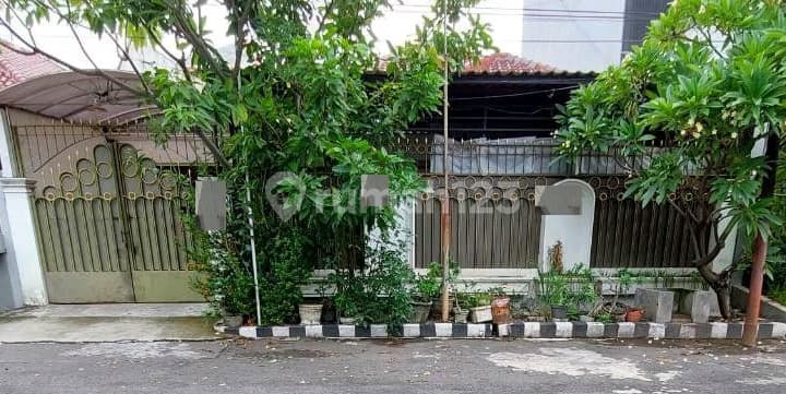 Rumah Dijual 1 Lantai Manyar Kertoarjo Gubeng 3,95M LT 261 Rumah Keluarga Mapan Koridor Manyar Ron.a2297