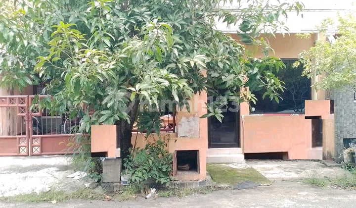 Rumah Dijual Penjaringan Sari Rungkut Surabaya 1 Lantai Murah Luas Strategis Dekat Merr Surabaya Timur