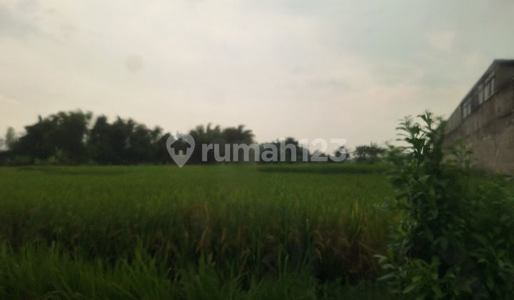 Dijual Lahan Strategis Selangkah Dari Jalan Provinsi