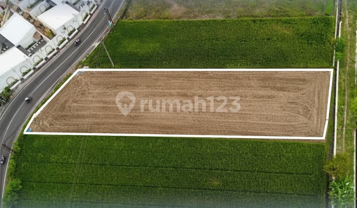 Cheap Land Plots, Only 10 Minutes to Malioboro, Main Roadside