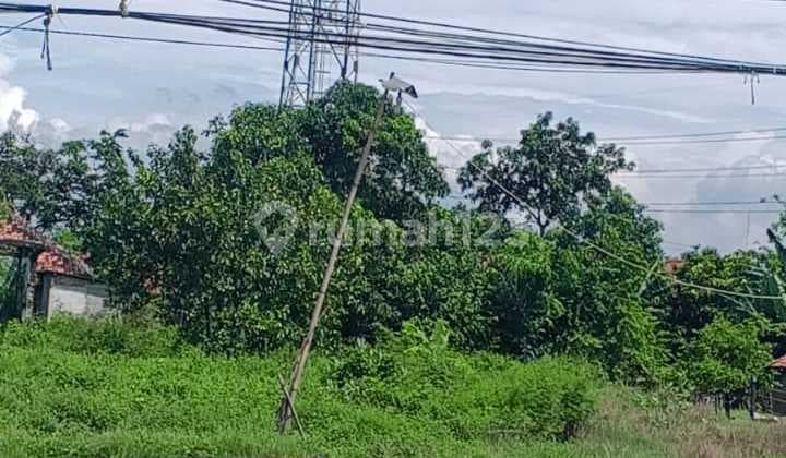Land for Sale in Sukamandi Jaya, Ciasem, Subang