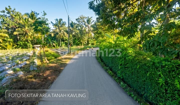 Tanah Dekat Uii Kaliurang KM 11 Ngaglik Jogja - Akses 5 Menit Kampus