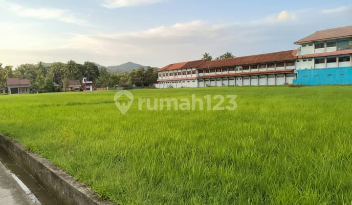 Tanah Bisnis, 700 Meter Dari Pintu Masuk Bandara Yia Kulon Progo 6750M² Depan Jalan Nasional