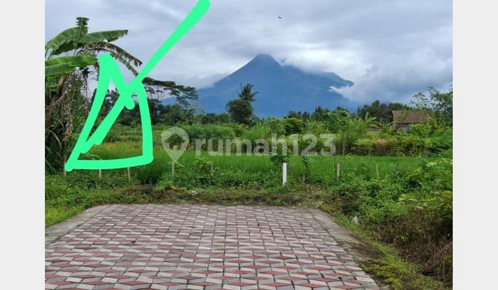 Land with Merapi View, North Jogja, Sardonoharjo - Last Plot with Natural Ambiance
