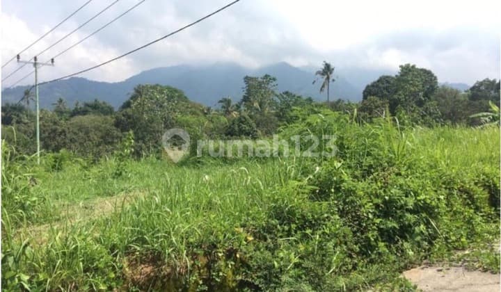 Land Parcel in the Asri Area of Buleleng